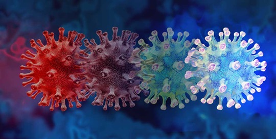 SARS-CoV-2 Variants and the Impact on Diagnostic Tests