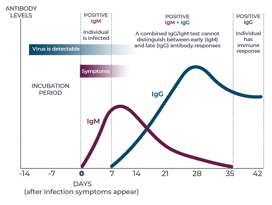 IgG vs IgM test for SARS-CoV-2 antibody