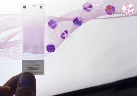 DxH Slidemaker Stainer