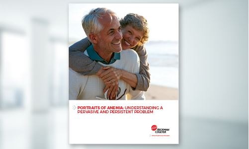 Access-Brochure