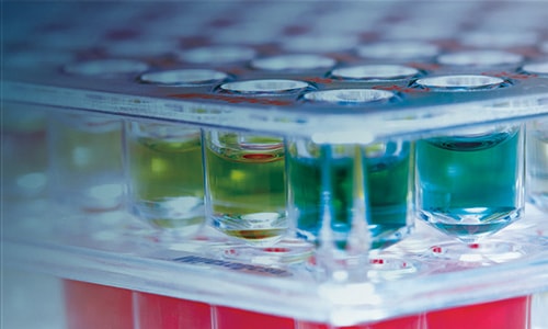 Microbiology panels