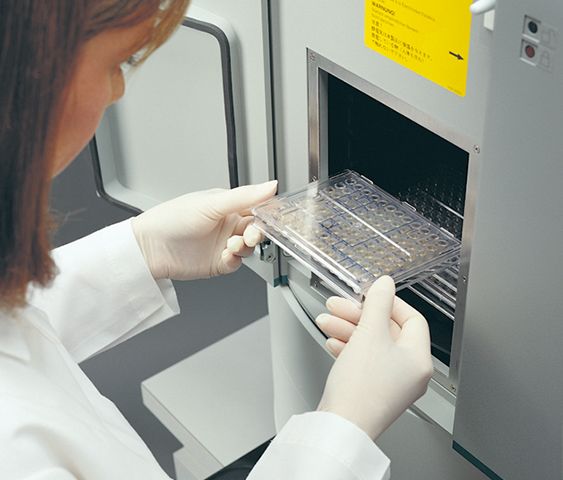 Rapid ID Panels