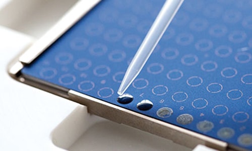 MALDI TOF mass spectrometry