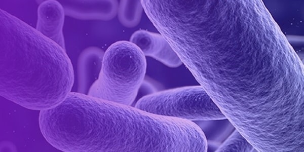 Microbiology solution story Home