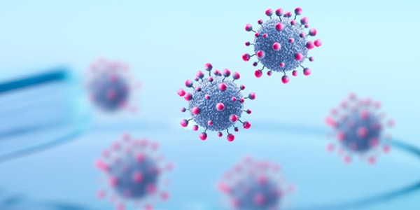 Access SARS-CoV-2 IgG Antibody Test