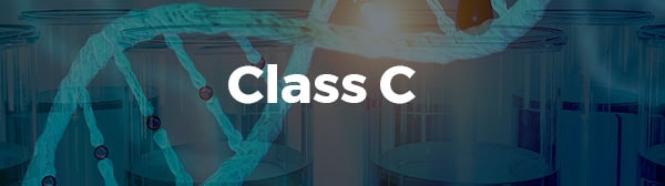 Class C