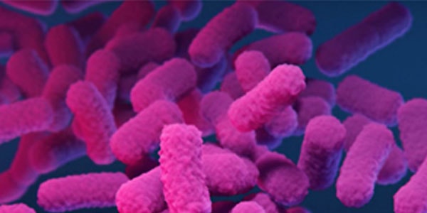 Microbiology